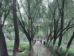 -洋湖国家湿地公园