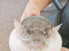 -永安鱼庄·镇江菜(东吴路店)