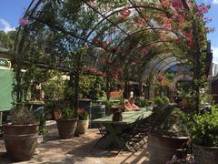 -The Grounds of Alexandria