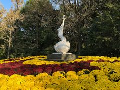 -杭州植物园