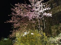 -姥家大锅台水库渔家