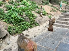 -黔灵山公园