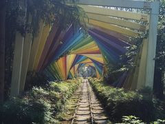 -合肥滨湖国家森林公园