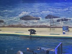 -福州罗源湾海洋世界旅游区