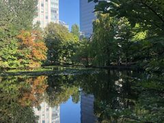 -北海道厅旧本厅舍(旧本庁舎)