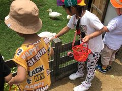 -前小桔亲子创意农场·草莓采摘·露营烧烤