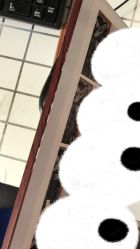-七色田儿童摄影(静安店)