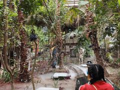 -呀路古热带植物园