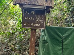 -三亚亚龙湾人间天堂鸟巢度假村