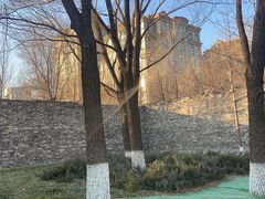 -桐爷小馆(广渠门店)