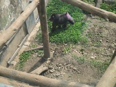 -成都动物园