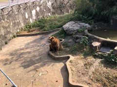-无锡动物园·太湖欢乐园
