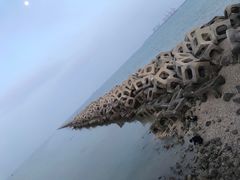 -东疆建设开发纪念公园