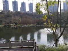 -重庆彩云湖湿地公园