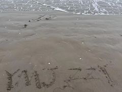 -启东黄金海滩景区