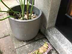 -猫的天空之城概念书店(杭州南宋御街店)