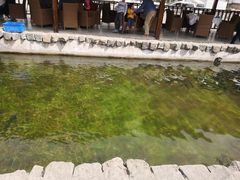 -京北渔家傲