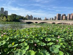 -翡翠湖迎宾馆·游泳馆