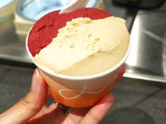 -Dip in Gelato(富民路店)