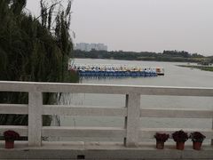 -大兴滨河森林公园