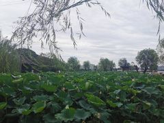 -石湖景区
