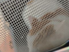 -宠颐生中康贝怡动物医院