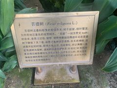 -国家植物园南园