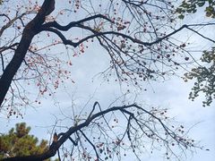 -颐和园