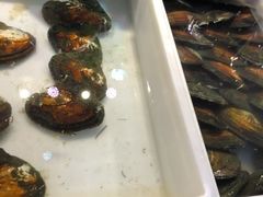 -十八字金·银饰·拼豆·开蚌DIY(魏公芳华里店)