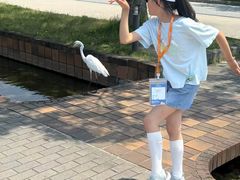 -福冈国际邮轮码头