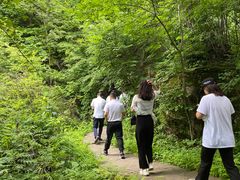 -五女峰国家森林公园