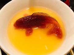 热情果布丁-甄御•海鲜新青岛菜(麦岛店)