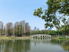 -四海公园(南山区)