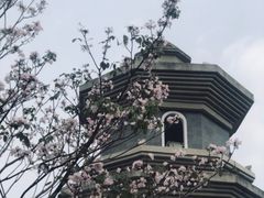 -厦门园林博览苑