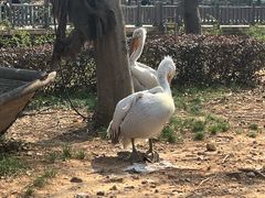 -无锡动物园·太湖欢乐园