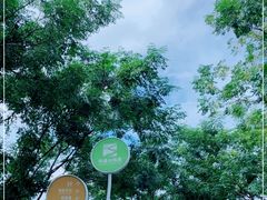 -佛山华盖山公园