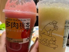 多肉桃李-喜茶(烟台莱山万象汇店)