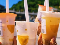 -放哈·甜醅子奶茶创造者(阳光丽景湾店)