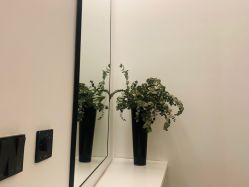 -LB·海菲秀牛奶光官方体验中心