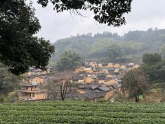 -杨家堂村