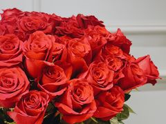 -BEAST野兽派(上海浦东嘉里城店)