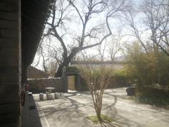 -红楼梦邮局