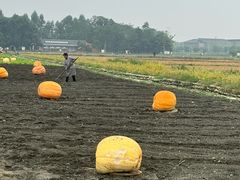 -中国天府农业博览园