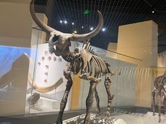 -国家自然博物馆