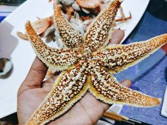 -福泉海码头(六里山店)