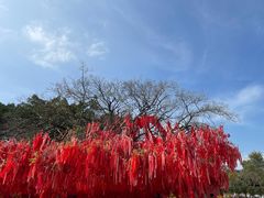 -广州莲花山旅游区