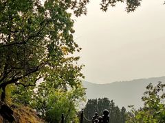 -北京十三陵国家森林公园蟒山景区