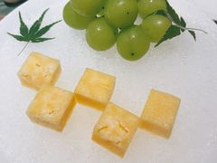 -觀芷隐轩