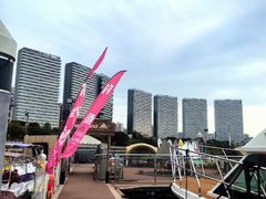 -五缘湾游艇帆船俱乐部