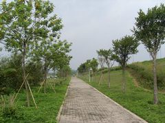SL387156-鹤之洲湿地公园